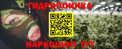 ГАЛЛЮЦИНОГЕННЫЕ ГРИБЫ Пугачёв